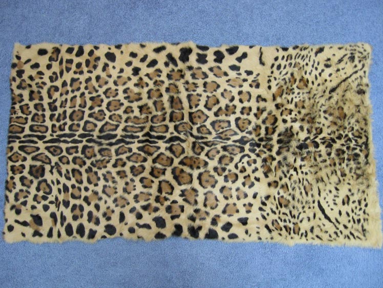 Long Hair Printed #1 Rabbit Plate: Leopard Pattern 
